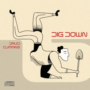 dig down cover